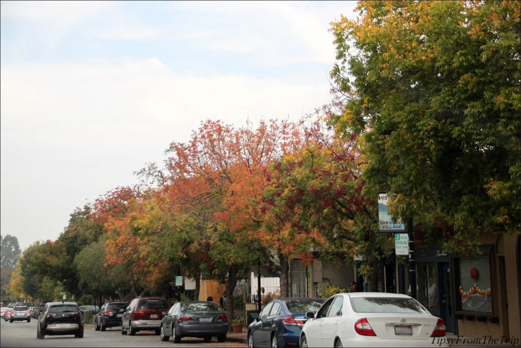 See Fall Color In Saratoga Village In California Tipsy From The TRIP