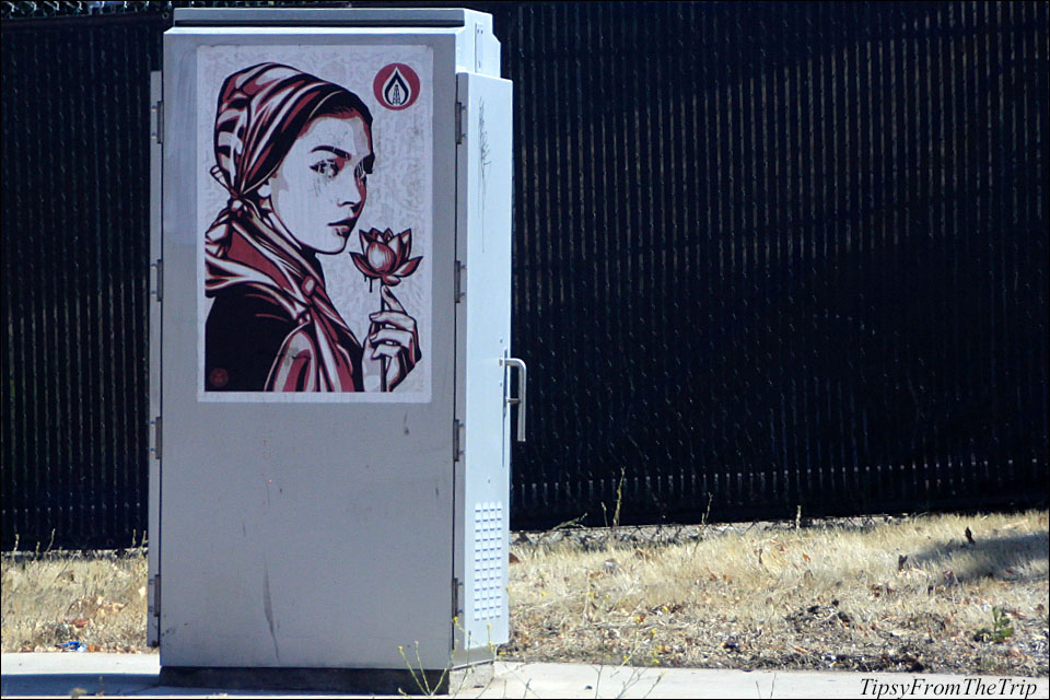 Utility box art in Sacramento, CA.