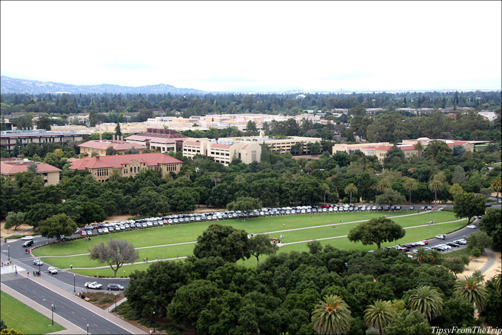 Views from the Tower - the campus and the surroundings 