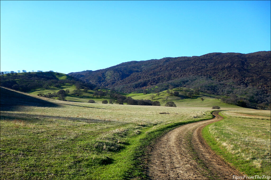 Bay Area Hikes: Round Valley Regional Preserve | Tipsy from the TRIP
