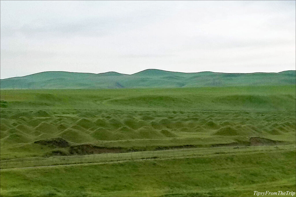 Mounds beside I-580