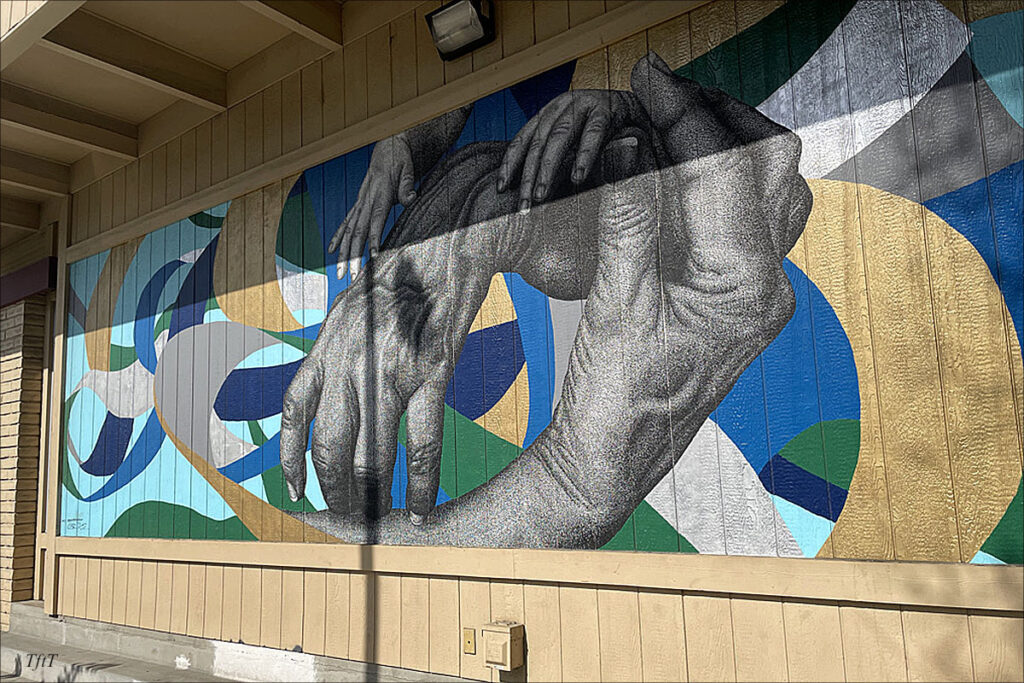Nest - A mural at the Golden Valley Health Center, Modesto.