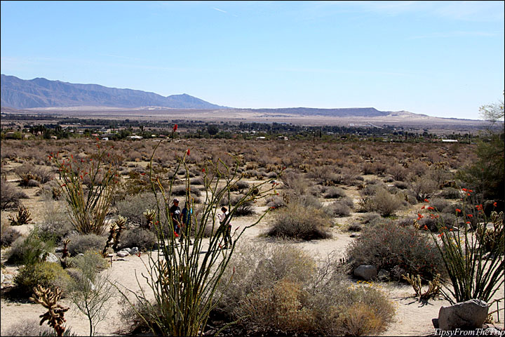 Anza Borrego Desert 