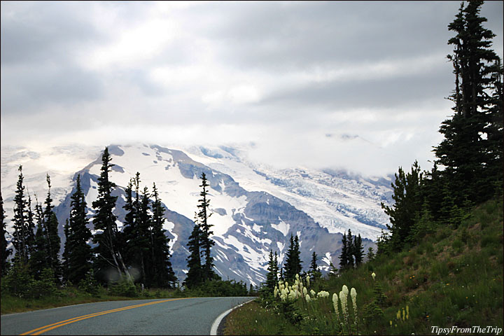 Mt. Rainier National Park