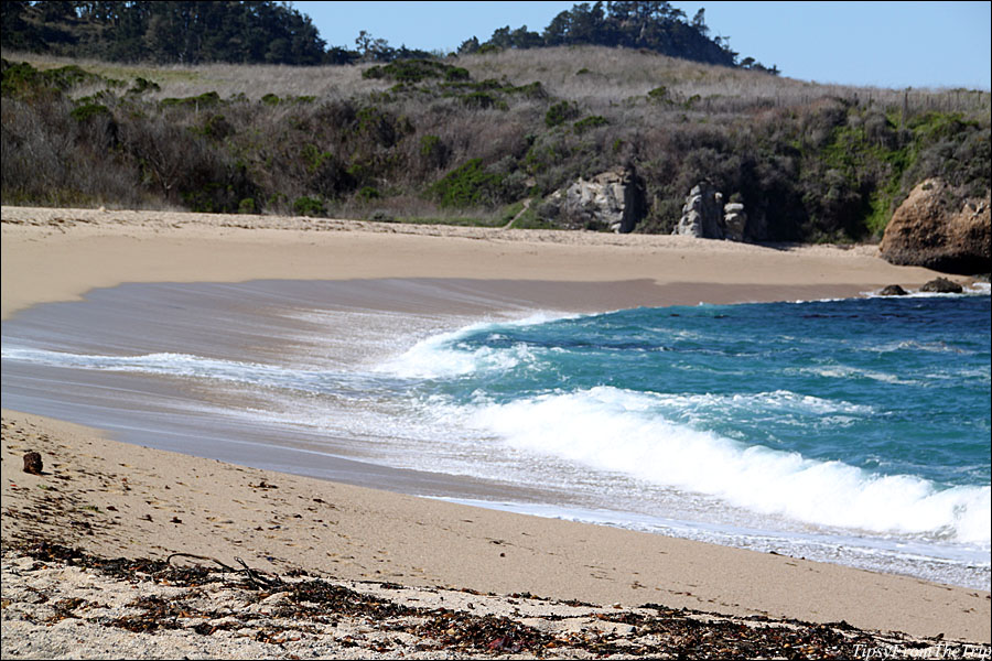 Monastery  Beach, Carmel, CA