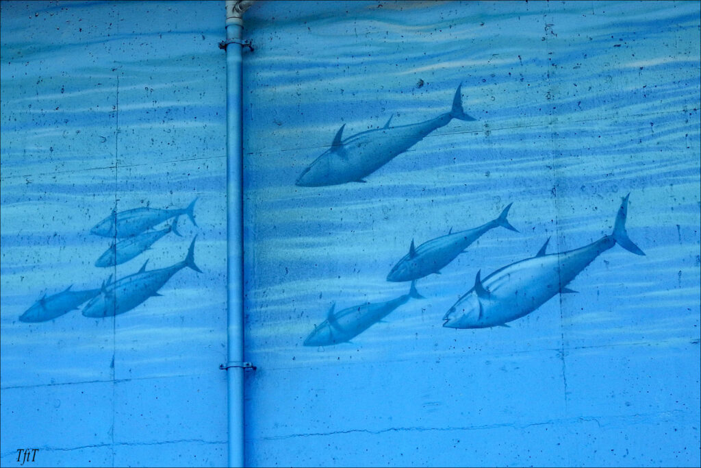 Aquarium of the Bay murals