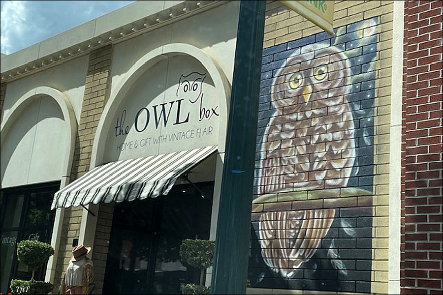 Owl Mural, The Owl Box, Tracy, CA 
