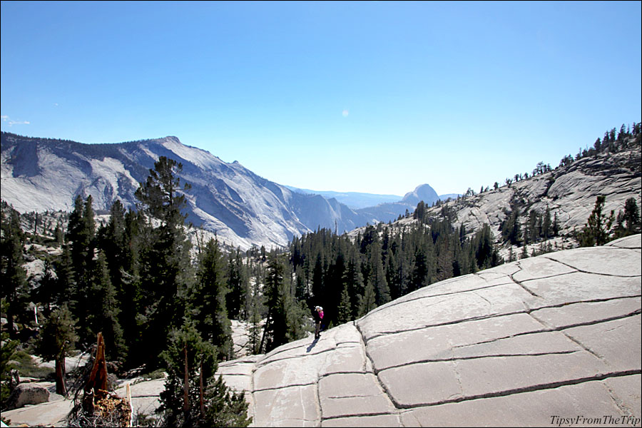 Olmsted Point, Yosemite National Park 