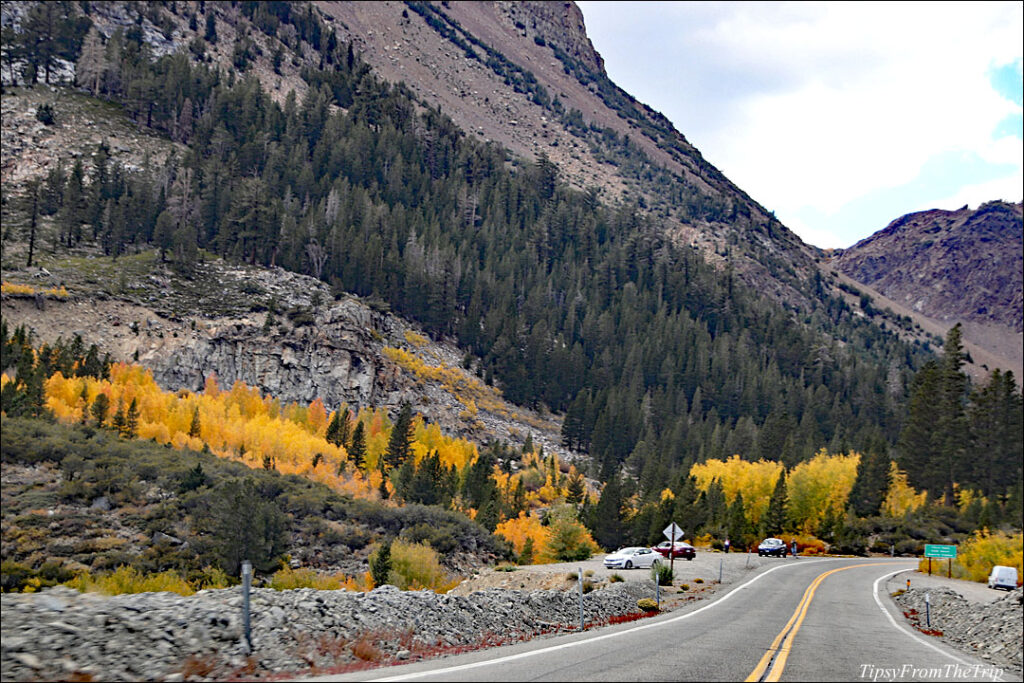 fall color in Tioga Pass
