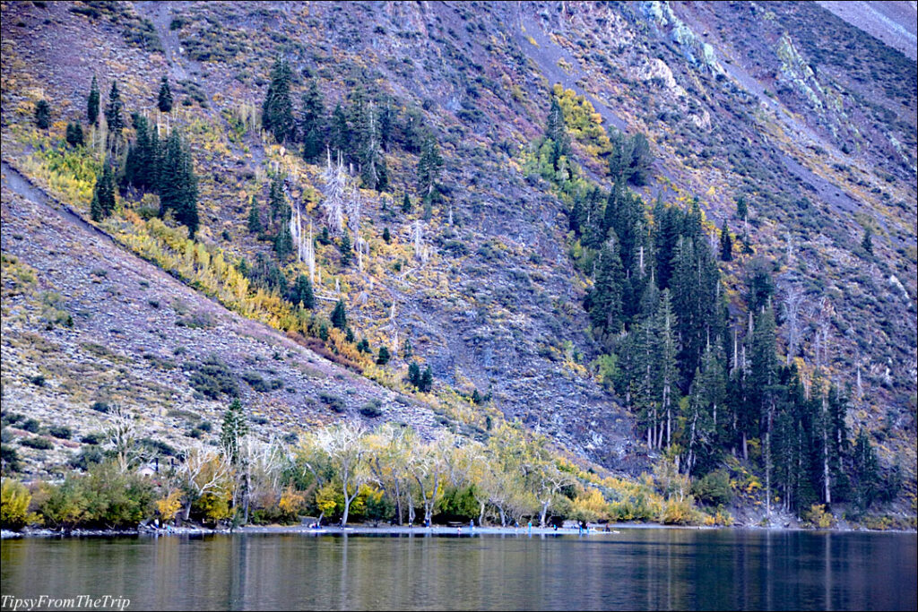 Fall Colors, Eastern Sierra 