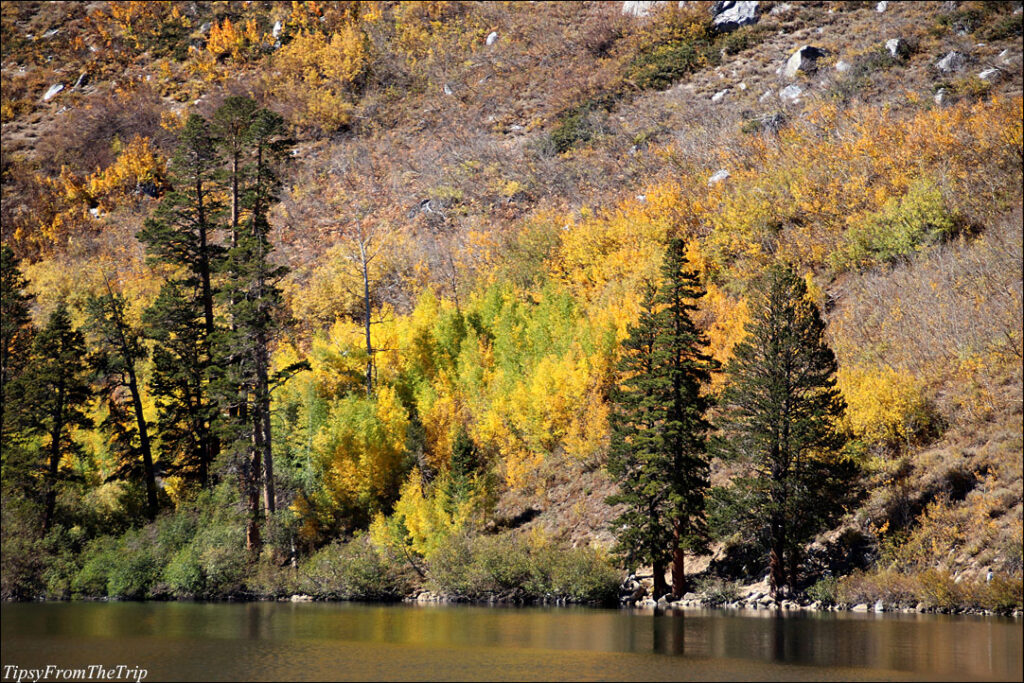 Lake George, Eastern Sierras - in Fall 