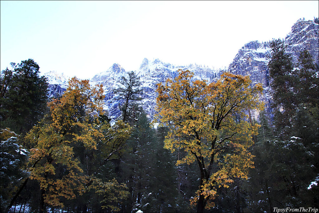 Fall color and snow in Yosemite