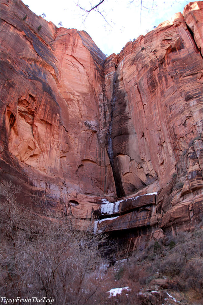 Zion-Canyon-Floor 